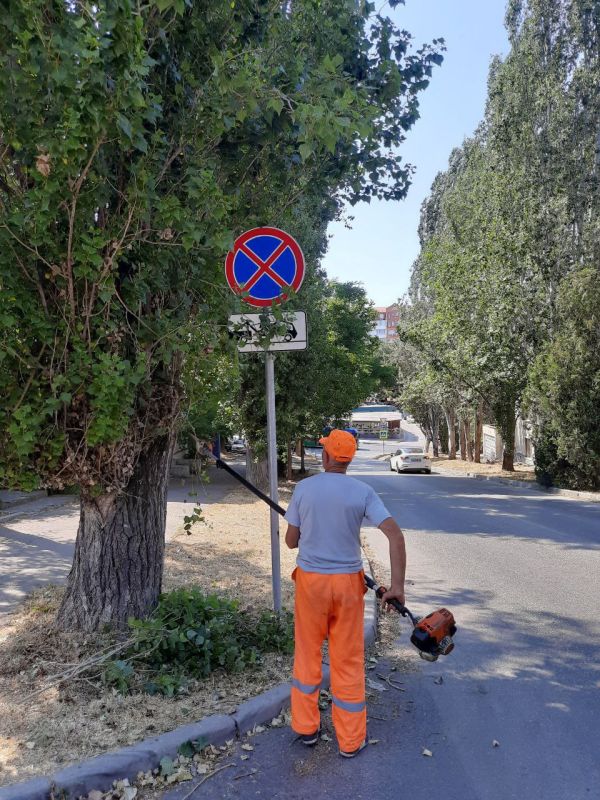 Михаил Развожаев: Традиционно мы готовим к началу учебного года не только образовательные учреждения, но и дорожную и городскую инфраструктуру Михаил Развожаев: Традиционно мы готовим к началу учебного года не только образовательные учреждения, но и дорожную и городскую инфраструктуру