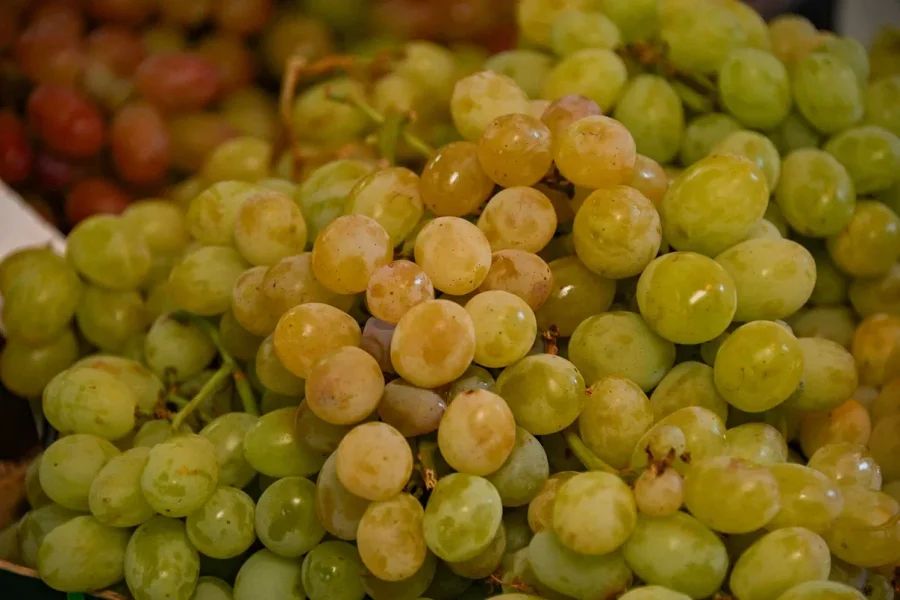 � ����������� ���������, ��� �������������� ������������ ��������� �� ����� �����������