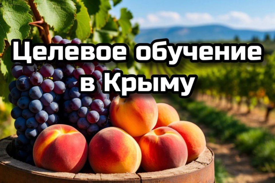   ,              2025/2026  