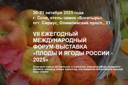        VII  -      2025
