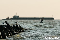 На юге России произошел разлив нефти: как скоро могут устранить и какого размера пятно На юге России произошел разлив нефти: как скоро могут устранить и какого размера пятно