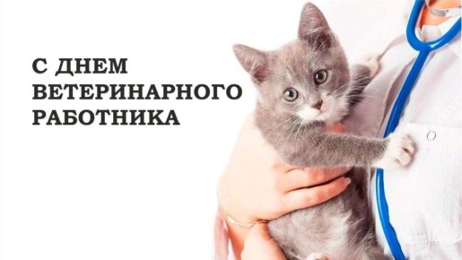  : 31     !