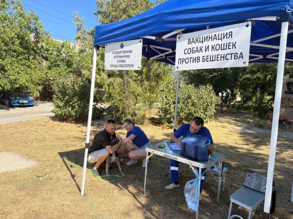 Михаил Развожаев: Сегодня свой профессиональный праздник отмечают работники ветеринарии! Михаил Развожаев: Сегодня свой профессиональный праздник отмечают работники ветеринарии!