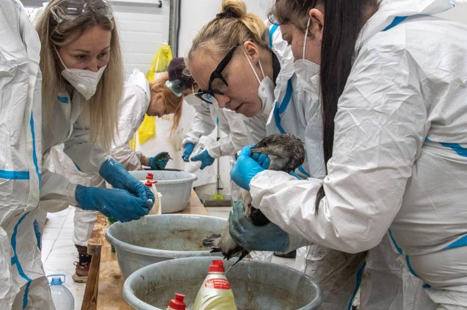 Михаил Развожаев: Сегодня свой профессиональный праздник отмечают работники ветеринарии! Михаил Развожаев: Сегодня свой профессиональный праздник отмечают работники ветеринарии!