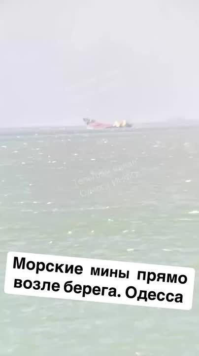  :       ()      NS PRIDE   ,   