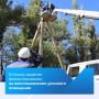 За 2023 и 2024 годы в Крыму восстановили более 2 000 километров сетей уличного освещения и 30 000 светильников
