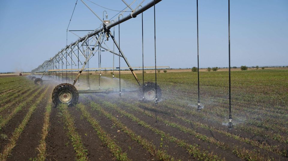 � ����� ����������� ������� ��������� ������ - ����� ���� �����������