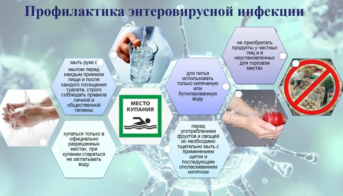ПРОФИЛАКТИКА ЭНТЕРОВИРУСНОЙ ИНФЕКЦИИ. ПРОФИЛАКТИКА ЭНТЕРОВИРУСНОЙ ИНФЕКЦИИ.