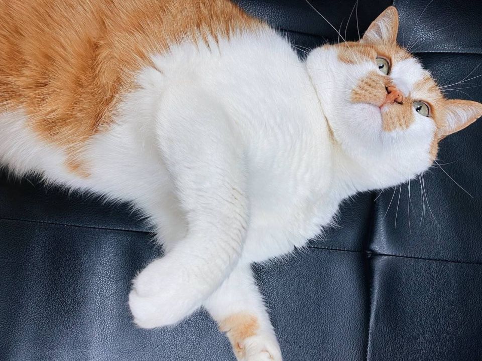  :  ,       