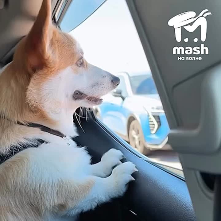 ? !   -  -