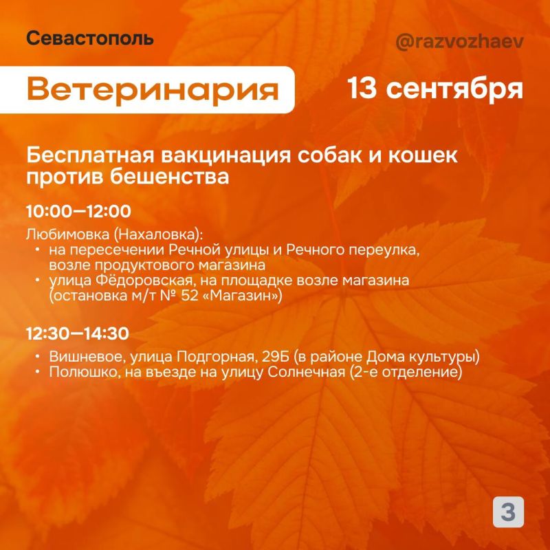 Михаил Развожаев: Впереди выходные, и уже традиционно севастопольские учреждения приготовили для севастопольцев бесплатные мероприятия Михаил Развожаев: Впереди выходные, и уже традиционно севастопольские учреждения приготовили для севастопольцев бесплатные мероприятия