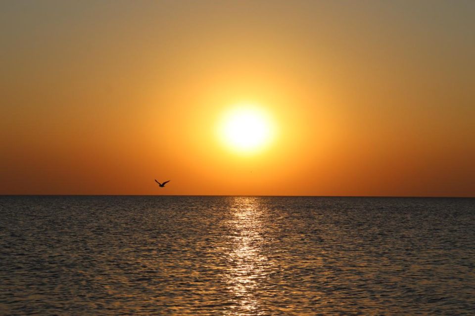 Температура моря у берегов Крыма