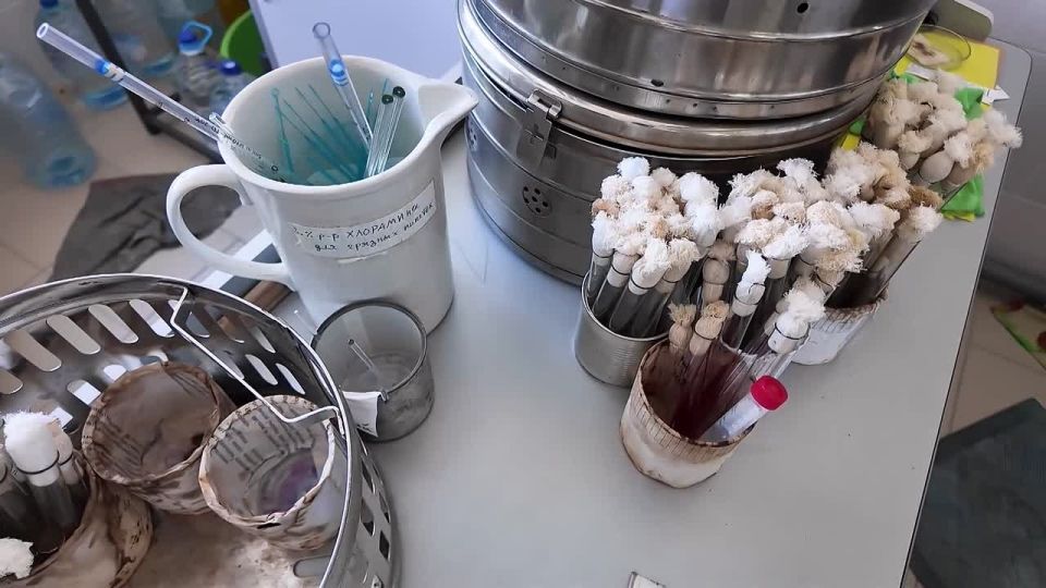 15 сентября в России отмечают День образования санитарно-эпидемиологической службы