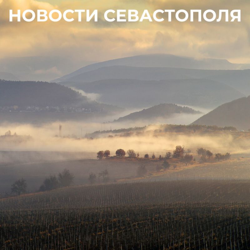 Михаил Развожаев: Итоги минувшего дня:. Выделили ещё 7,7 га в районе сёл Осипенко и Пироговка для участников специальной военной операции и членов их семей