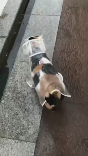  ,    