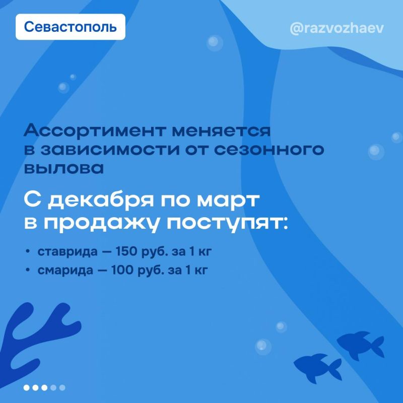 Михаил Развожаев: Продолжаем в Севастополе акцию «Рыбный день» Михаил Развожаев: Продолжаем в Севастополе акцию «Рыбный день»