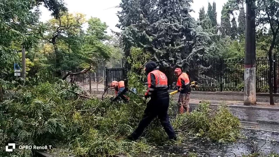 Михаил Развожаев: Провел планерку по устранению последствий непогоды