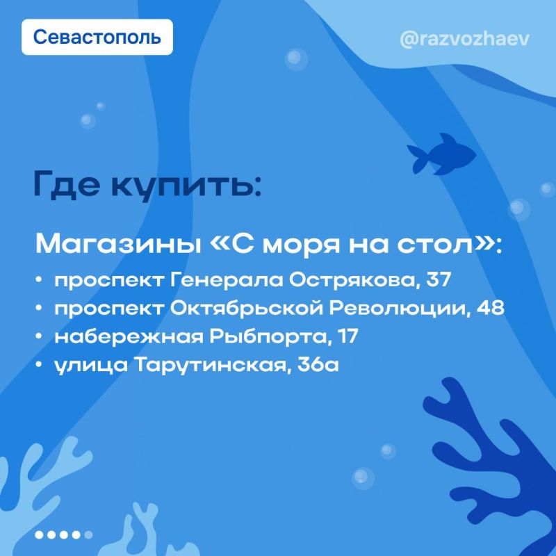 Михаил Развожаев: Продолжаем в Севастополе акцию «Рыбный день» Михаил Развожаев: Продолжаем в Севастополе акцию «Рыбный день»