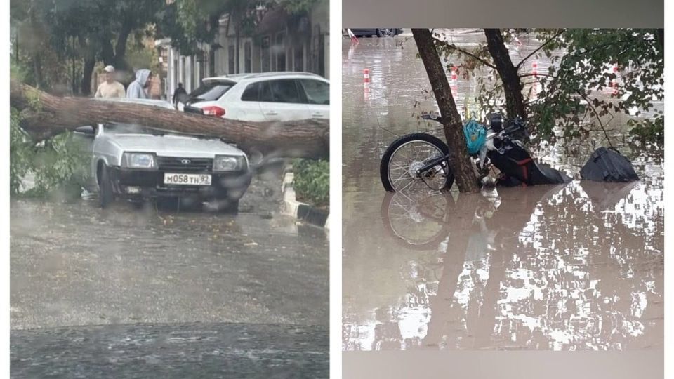 Падают деревья, машины уходят под воду: последствия непогоды в Крыму 18 сентября 2025