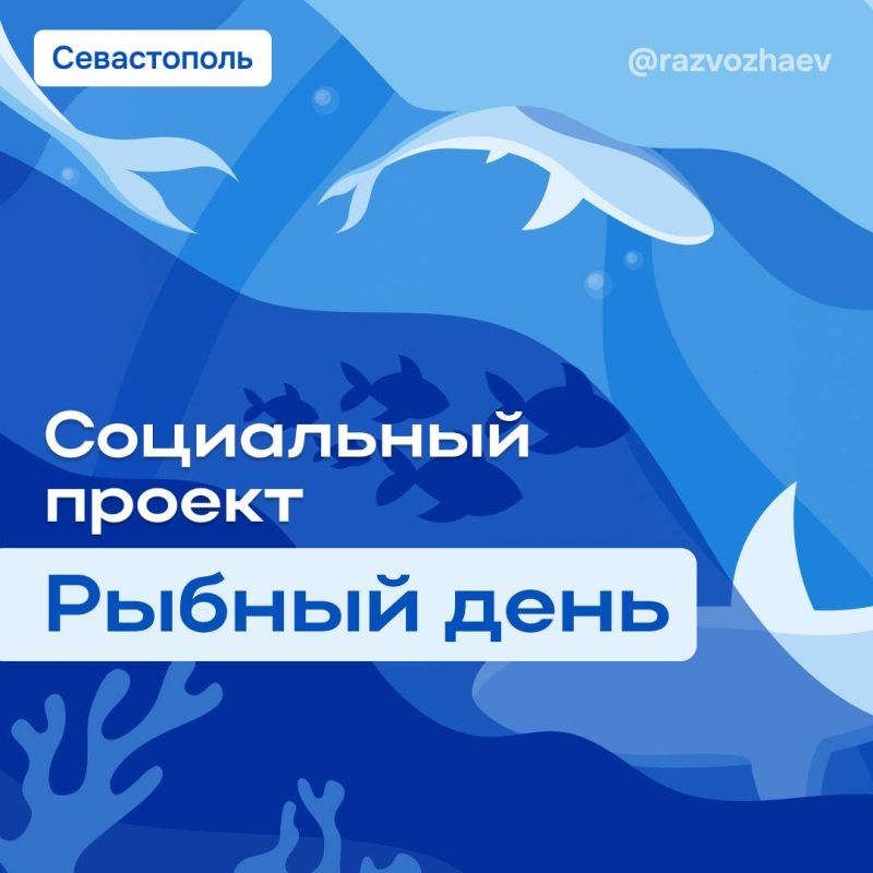 Михаил Развожаев: Продолжаем в Севастополе акцию «Рыбный день»