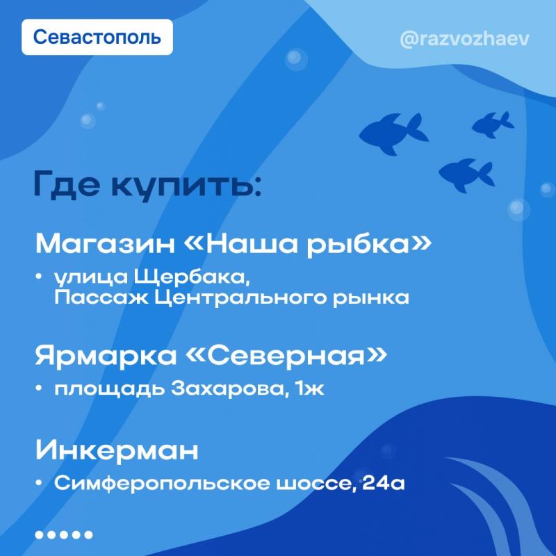 Михаил Развожаев: Продолжаем в Севастополе акцию «Рыбный день» Михаил Развожаев: Продолжаем в Севастополе акцию «Рыбный день»