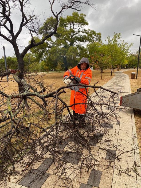 Михаил Развожаев: Оперативная обстановка к настоящему времени в Севастополе: Михаил Развожаев: Оперативная обстановка к настоящему времени в Севастополе: