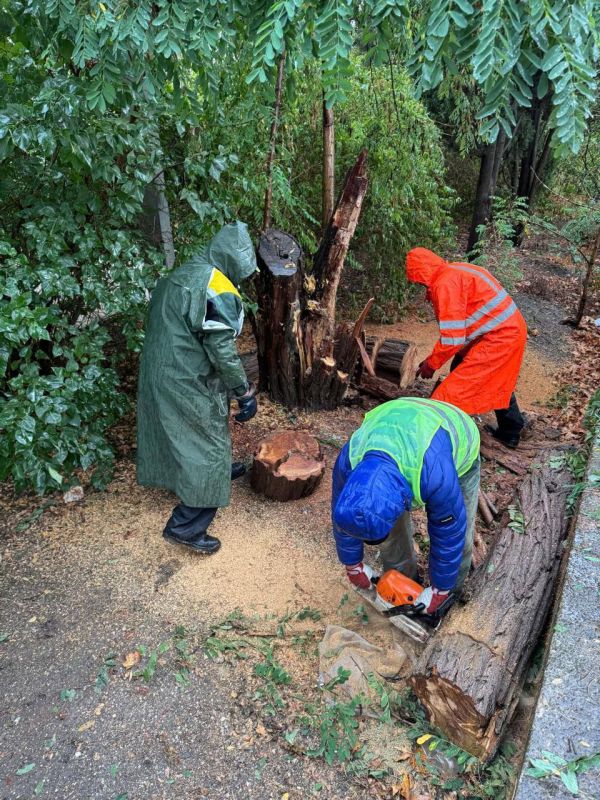 Михаил Развожаев: Оперативная обстановка в Севастополе к этому часу: Михаил Развожаев: Оперативная обстановка в Севастополе к этому часу: