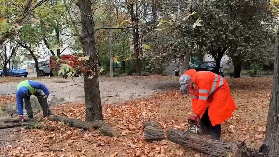 Михаил Развожаев: Оперативная обстановка к настоящему времени в Севастополе: