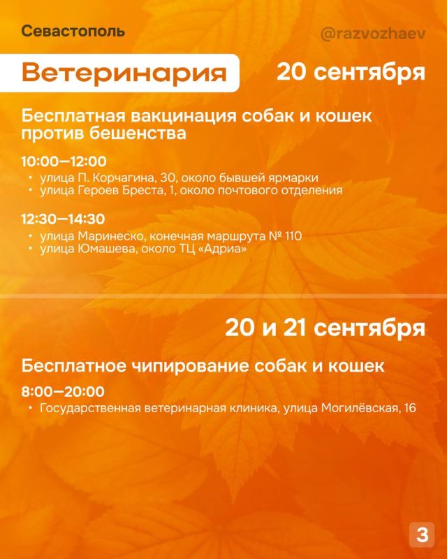 Михаил Развожаев: Впереди выходные, и уже традиционно севастопольские учреждения приготовили множество бесплатных мероприятий Михаил Развожаев: Впереди выходные, и уже традиционно севастопольские учреждения приготовили множество бесплатных мероприятий