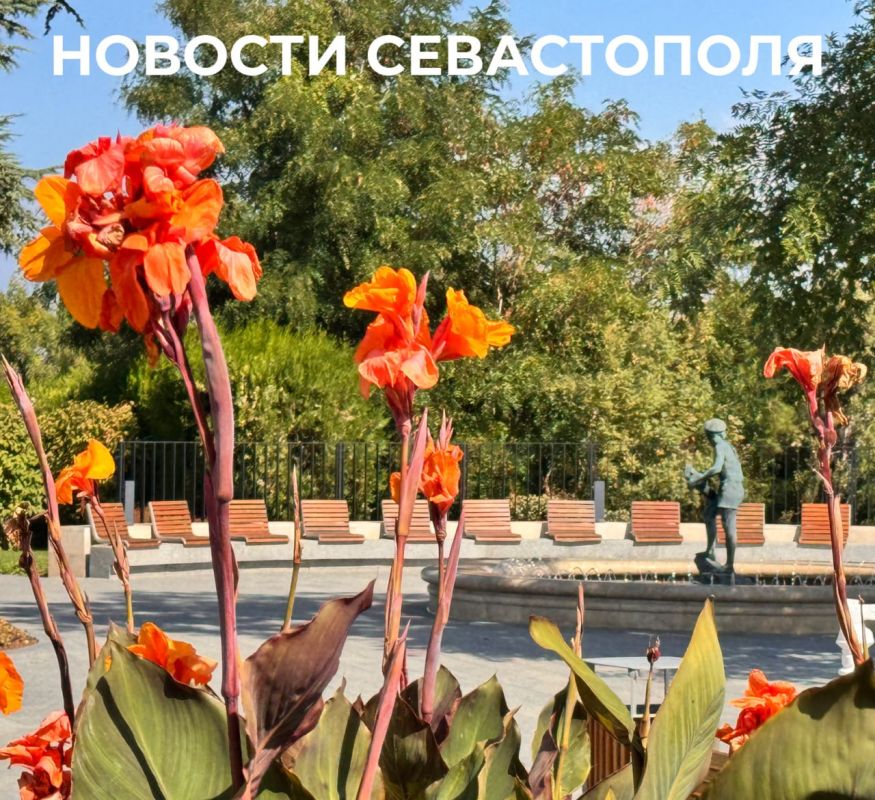 Михаил Развожаев: Итоги прошедших выходных:. Черноморский флот во взаимодействии с силами ПВО отразил атаку БПЛА на Севастополь над морем в районе Севастопольской бухты и Качи