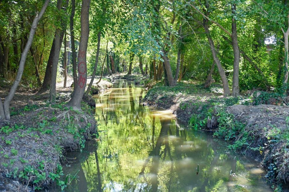 Михаил Развожаев: Закончена расчистка реки Чёрной и её притоков — Байдарки и Сухой речки Михаил Развожаев: Закончена расчистка реки Чёрной и её притоков — Байдарки и Сухой речки