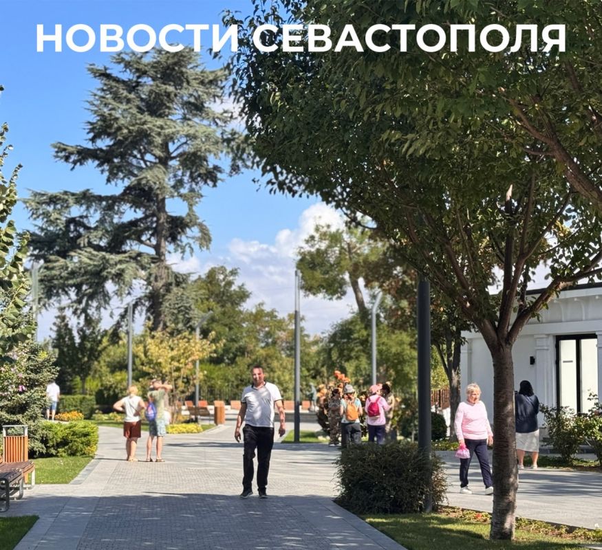 Михаил Развожаев: Итоги минувшего дня:. Силы ПВО и Черноморский флот отразили налёт БПЛА на Севастополь, сбив в общей сложности 16 беспилотников