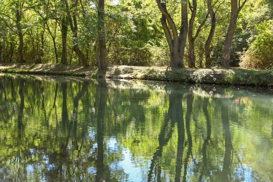 Михаил Развожаев: Закончена расчистка реки Чёрной и её притоков — Байдарки и Сухой речки Михаил Развожаев: Закончена расчистка реки Чёрной и её притоков — Байдарки и Сухой речки
