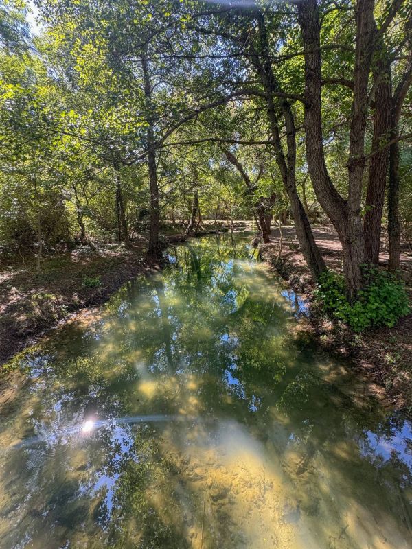 Михаил Развожаев: Закончена расчистка реки Чёрной и её притоков — Байдарки и Сухой речки