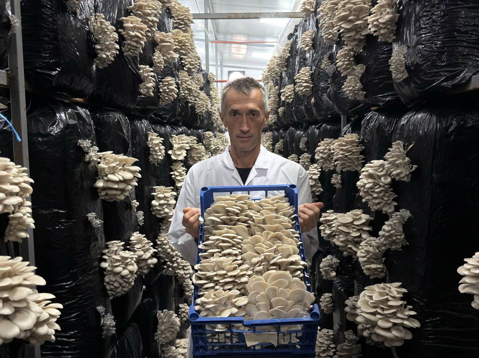 Окана Губернаторова посетила хозяйство в Кировском районе, получившее грант Минсельхоза Крыма 15 миллионов рублей Окана Губернаторова посетила хозяйство в Кировском районе, получившее грант Минсельхоза Крыма 15 миллионов рублей