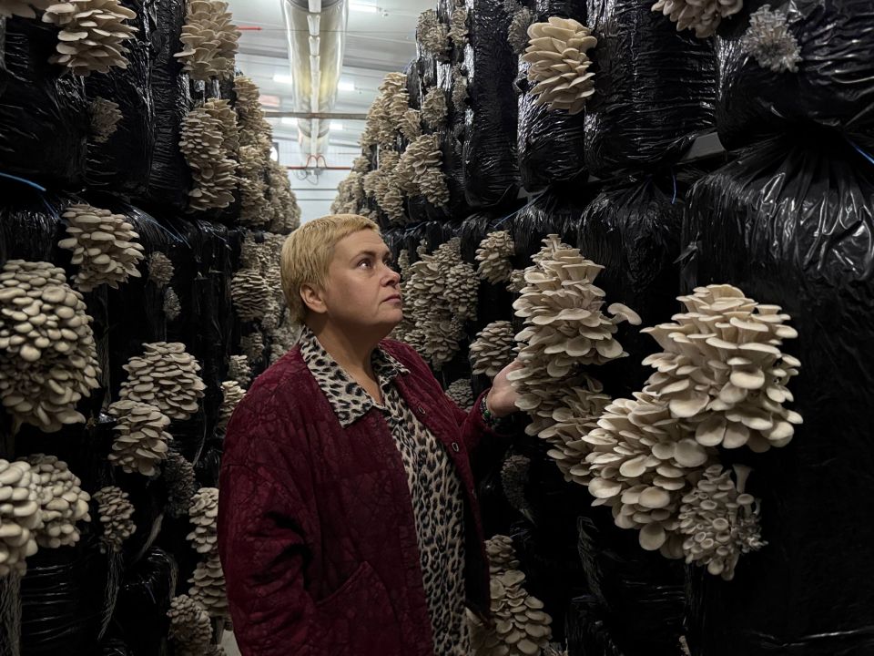 Окана Губернаторова посетила хозяйство в Кировском районе, получившее грант Минсельхоза Крыма 15 миллионов рублей Окана Губернаторова посетила хозяйство в Кировском районе, получившее грант Минсельхоза Крыма 15 миллионов рублей