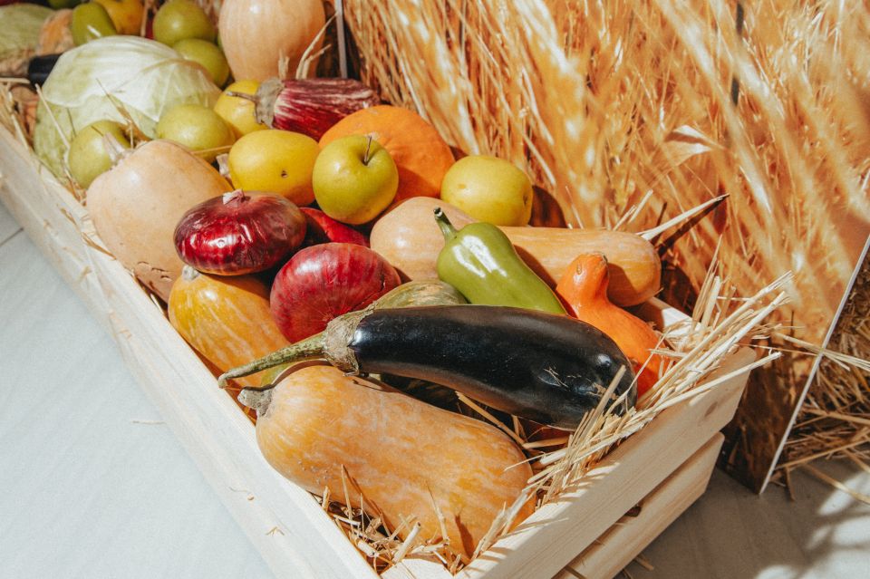 Открыта регистрация на Зелёный фестиваль на территории арт-кластера «Таврида» Открыта регистрация на Зелёный фестиваль на территории арт-кластера «Таврида»