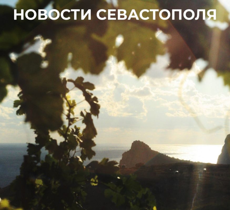 Михаил Развожаев: Итоги минувшего дня:. Ещё 40,2 гектара земли в районе села Полюшко выделили для обеспечения участками наших воинов и членов их семей