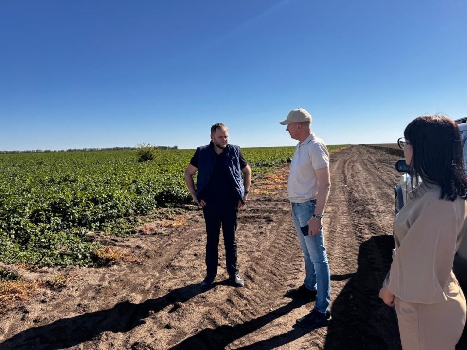 Из бюджета Республики Крым было направлено 20 миллионов рублей на развитие овощеводства Из бюджета Республики Крым было направлено 20 миллионов рублей на развитие овощеводства