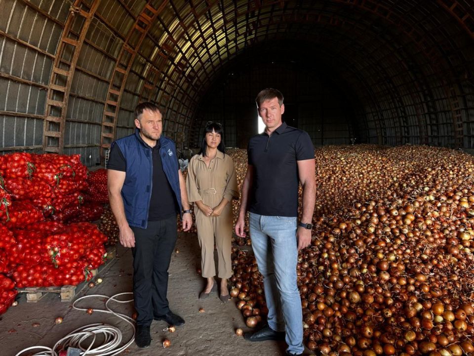 Из бюджета Республики Крым было направлено 20 миллионов рублей на развитие овощеводства Из бюджета Республики Крым было направлено 20 миллионов рублей на развитие овощеводства