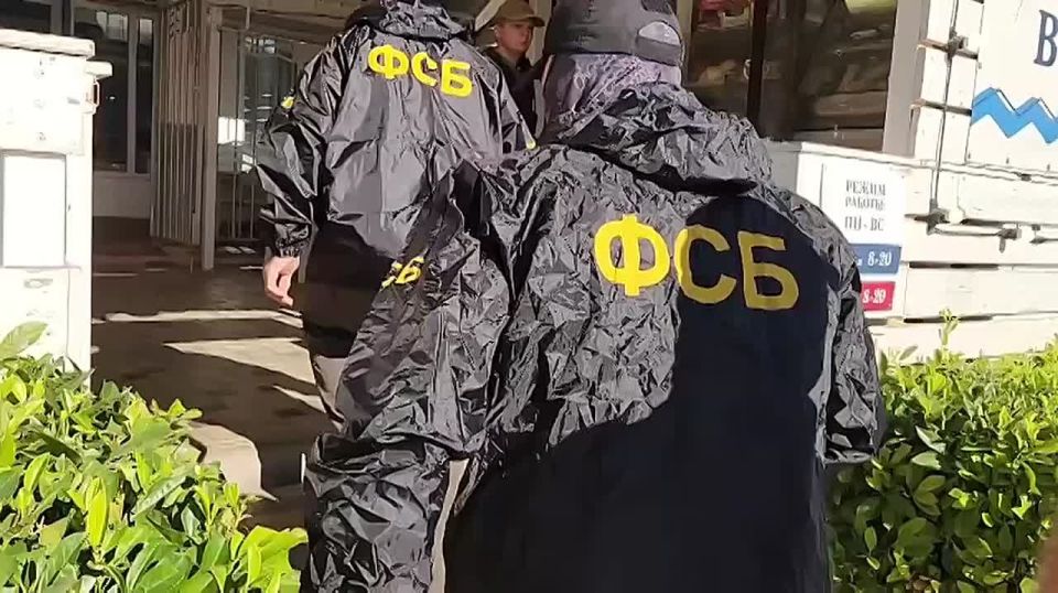 Михаил Развожаев: В Севастополе задержали женщину, которая вынашивала планы отравить наших бойцов — участников СВО