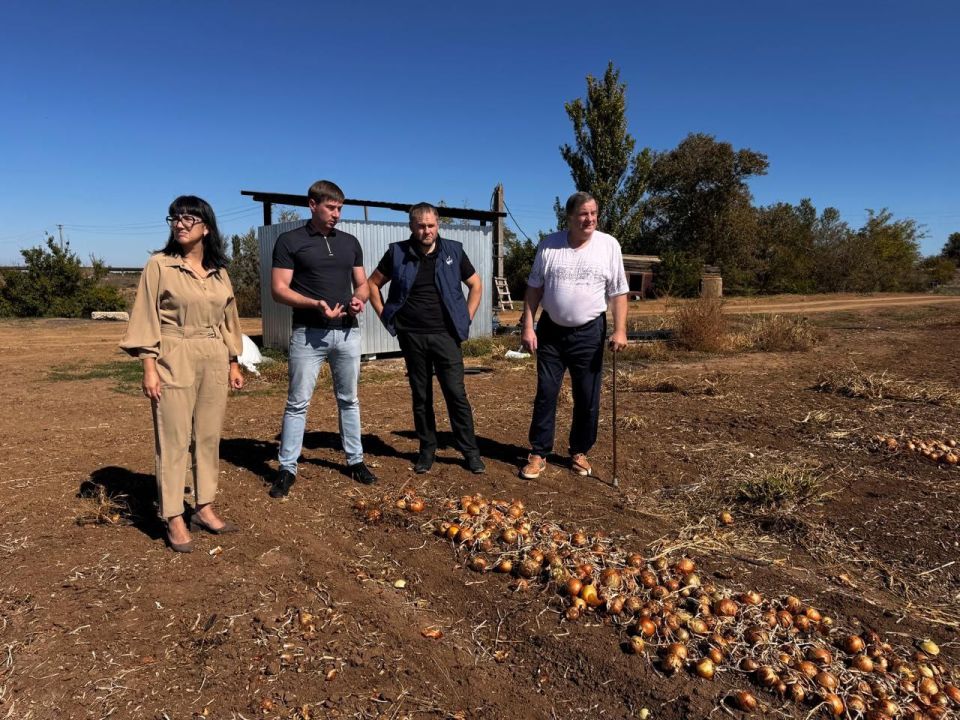 Из бюджета Республики Крым было направлено 20 миллионов рублей на развитие овощеводства Из бюджета Республики Крым было направлено 20 миллионов рублей на развитие овощеводства