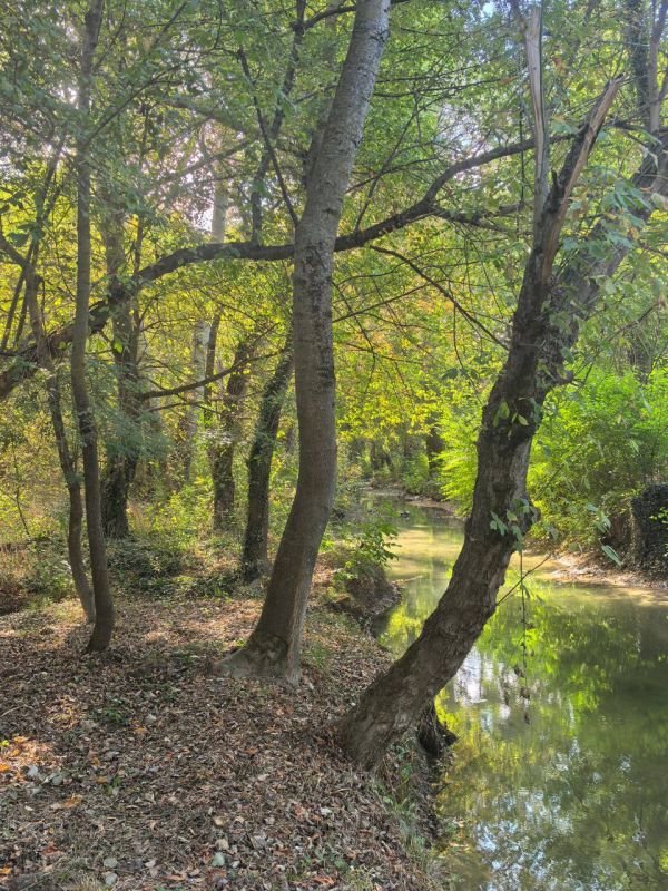 Михаил Развожаев: Отличные новости для любителей природы Михаил Развожаев: Отличные новости для любителей природы