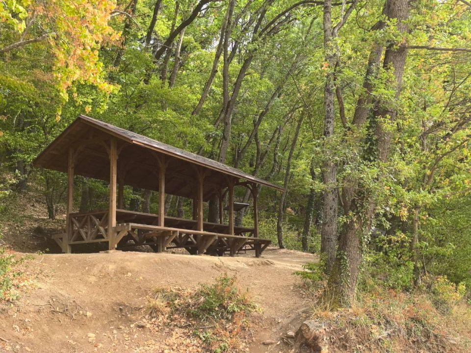 Михаил Развожаев: Отличные новости для любителей природы Михаил Развожаев: Отличные новости для любителей природы