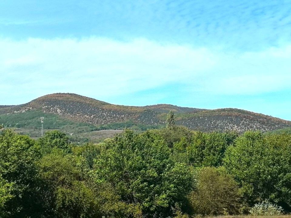Михаил Развожаев: Отличные новости для любителей природы Михаил Развожаев: Отличные новости для любителей природы