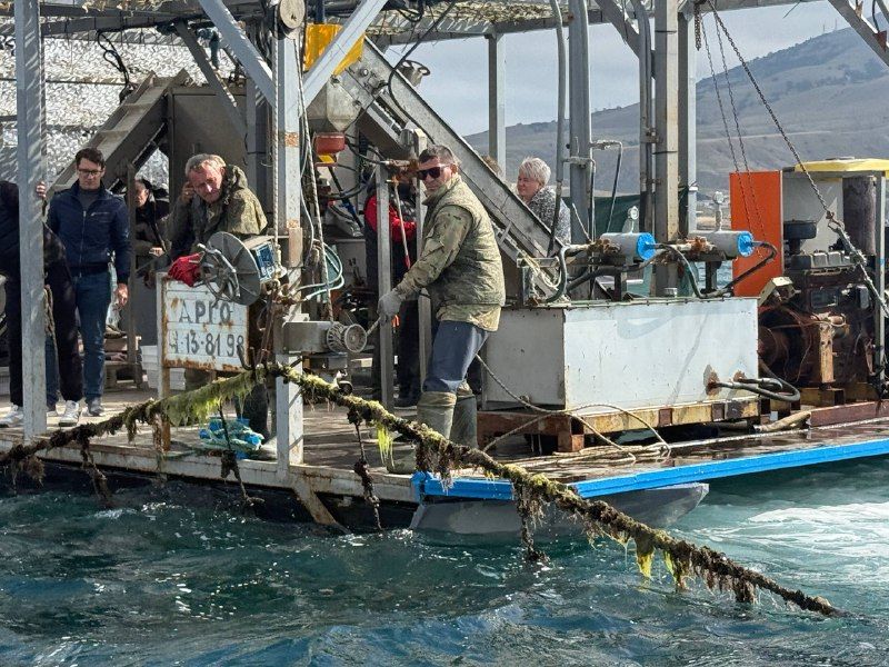 Денис Кратюк: Аквакультура Крыма показывает положительную динамику и развивается с каждым годом Денис Кратюк: Аквакультура Крыма показывает положительную динамику и развивается с каждым годом