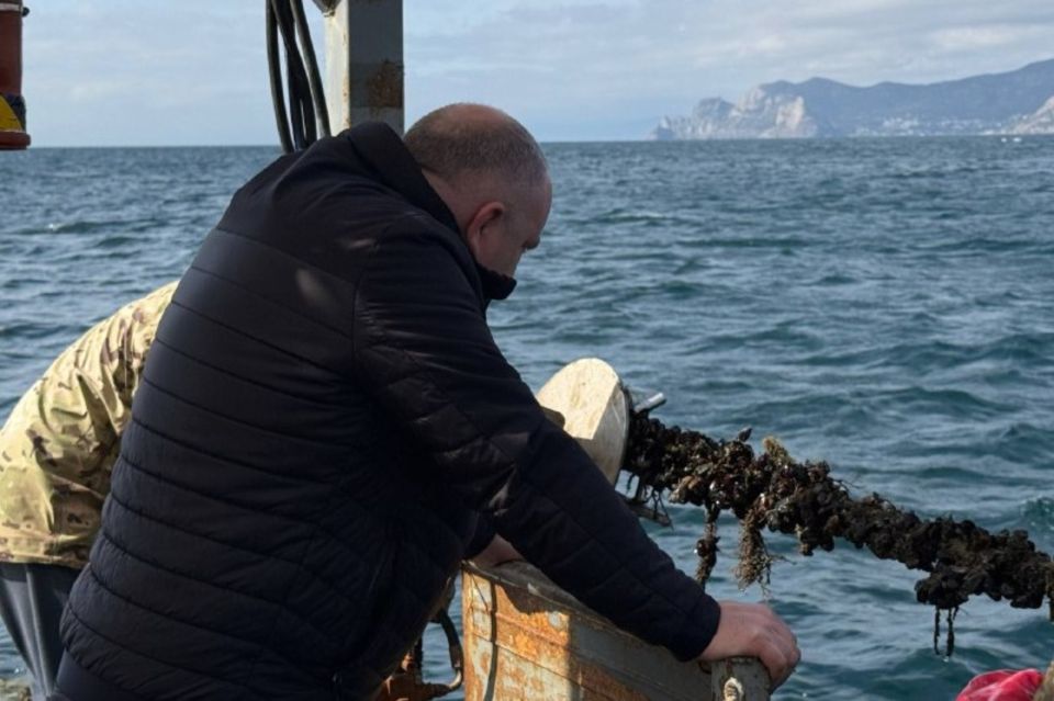 Денис Кратюк: Аквакультура Крыма показывает положительную динамику и развивается с каждым годом