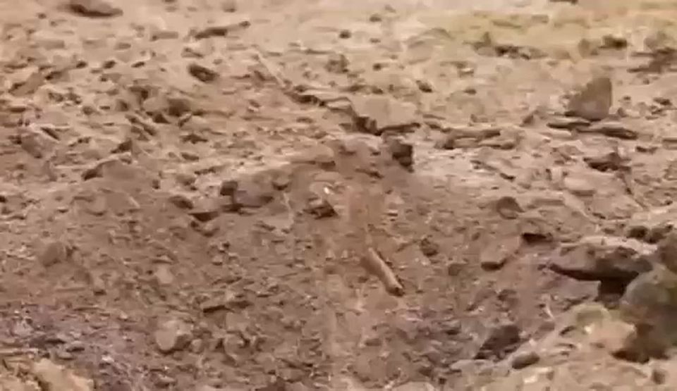 #.            ,         