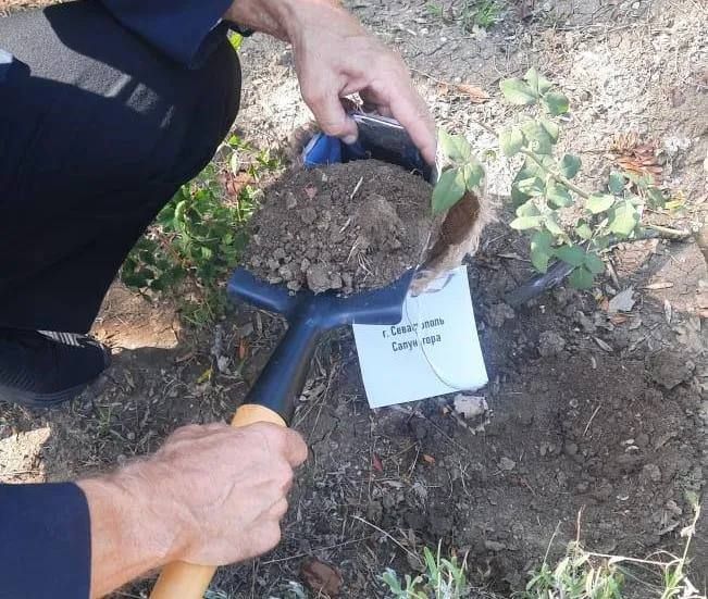 ����� �� ����������� ��������� � ����� ������������� �����-��������� � �����������