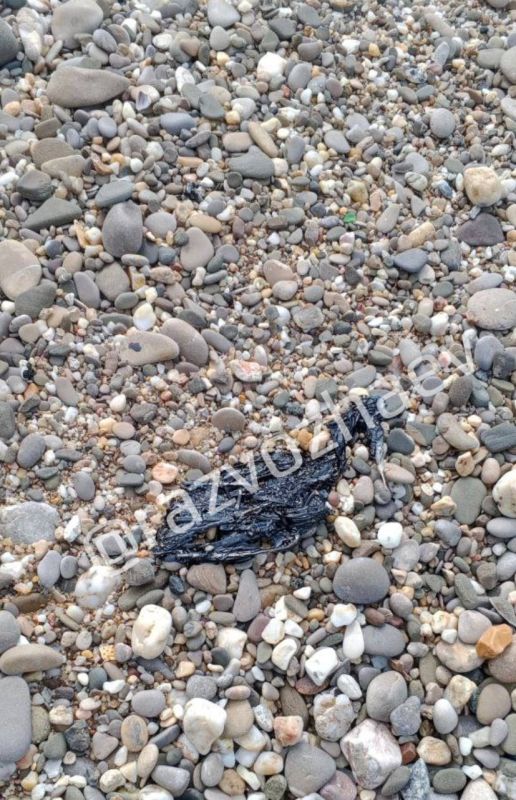 Михаил Развожаев: Ситуация с мазутом на пляжах Северной стороны: официальная информация Михаил Развожаев: Ситуация с мазутом на пляжах Северной стороны: официальная информация